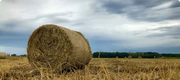 世界杯竞猜为您提供专业、贴心的服务体验。 - 世界杯竞猜