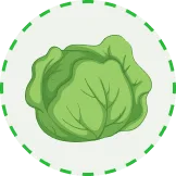 汇聚全球足球热点 - 世界杯竞猜