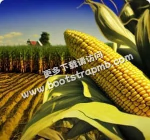 專業分析，精準預測 - 世界杯竞猜