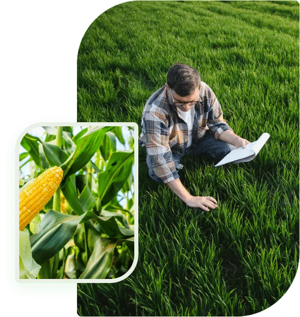 預測賽果，贏取勝利 - 世界杯竞猜